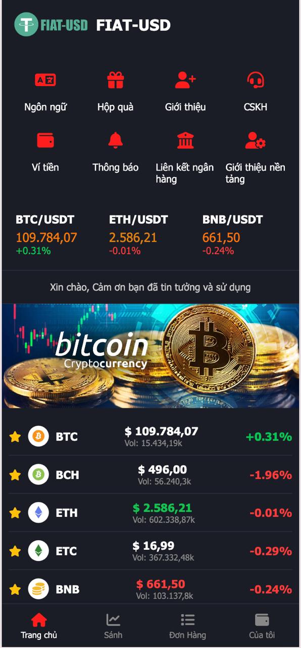 WEB MUA BÁN USDT - Ảnh 2