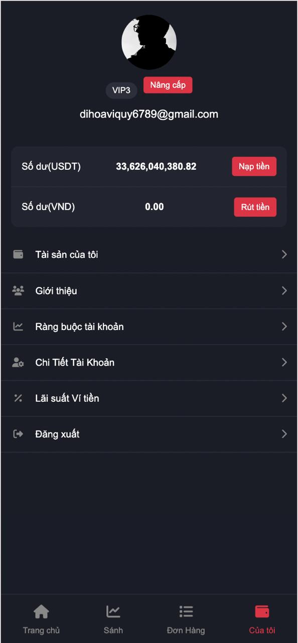 WEB MUA BÁN USDT - Ảnh 5