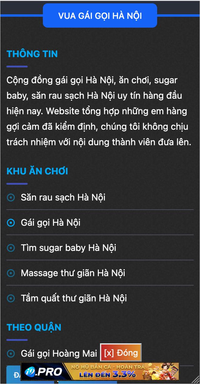 WEB GÁI GỌI - Ảnh 3